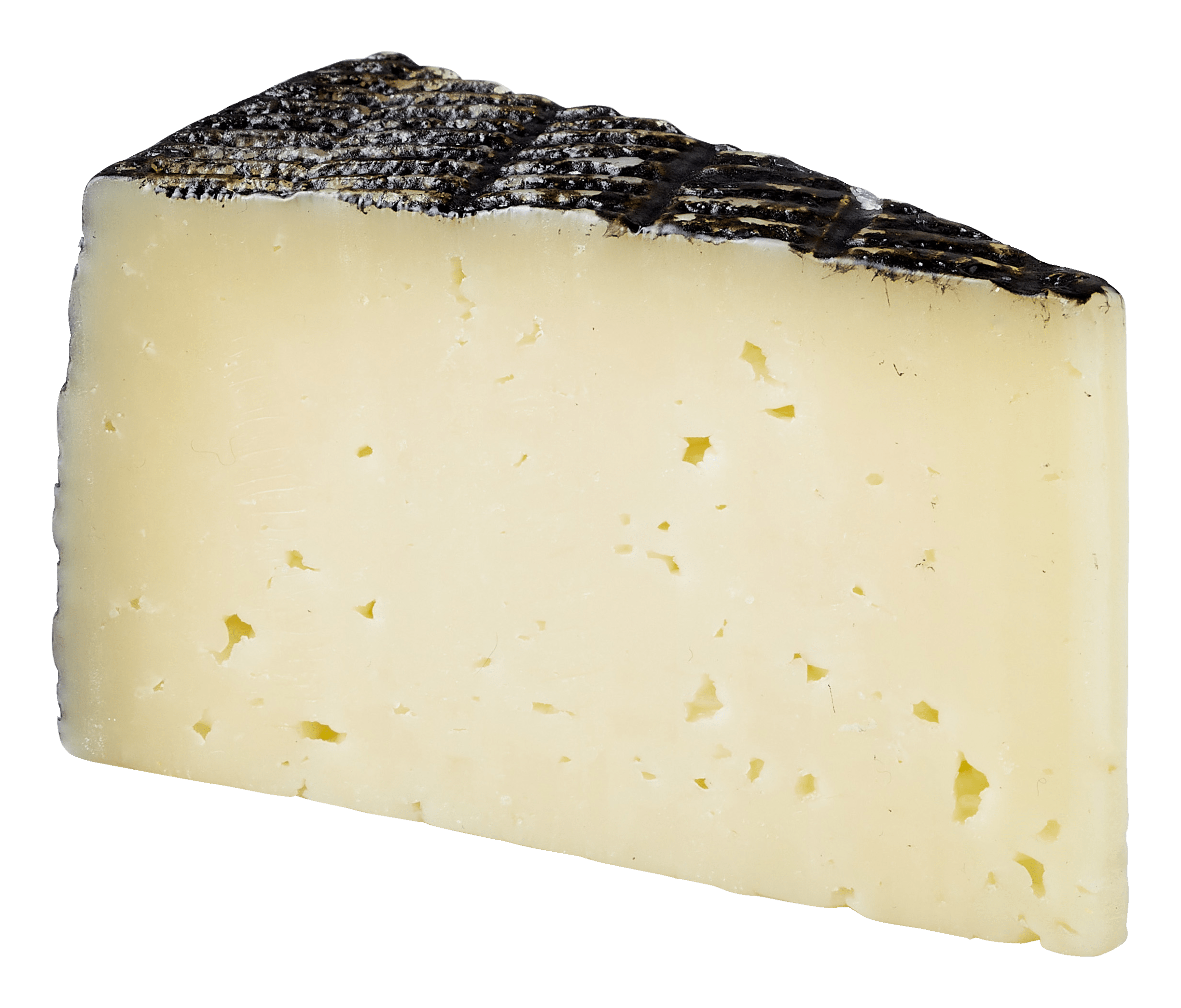 PLUS Iberico 45+
