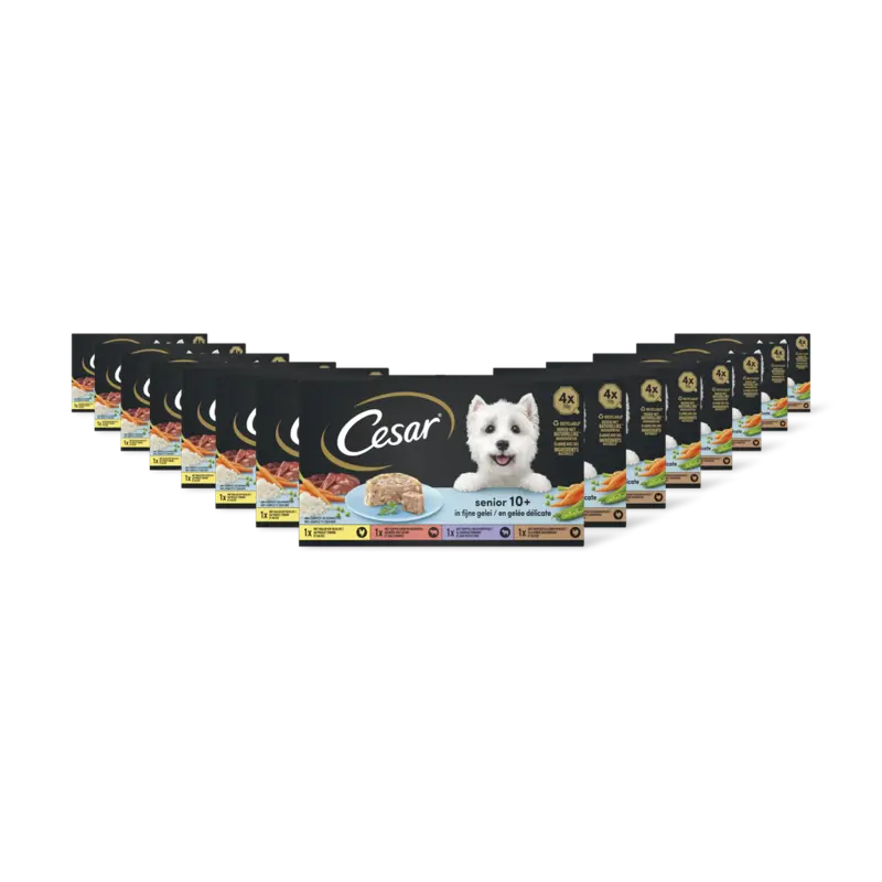 Cesar Hondenvoer senior 10+ jaar 15-pack