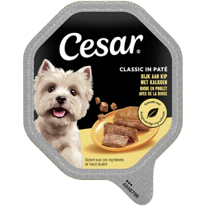 Cesar Kip