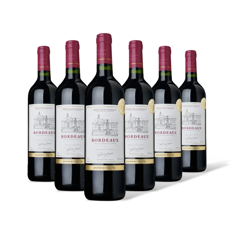 AH Excellent Selectie bordeaux 6 flessen