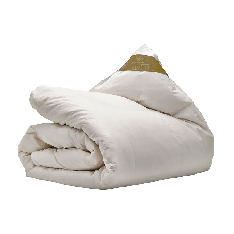 Ten Cate Dekbed 4-seizoenen dons 100 200x200