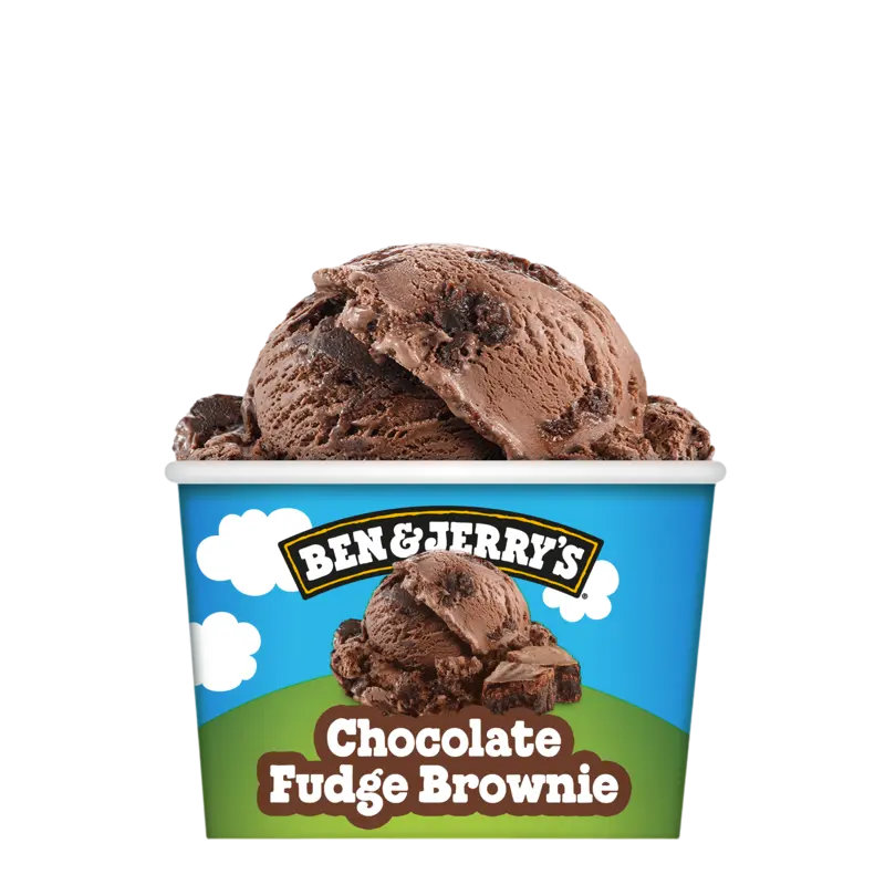 Ben & Jerry's Chocolate fudge brownie
