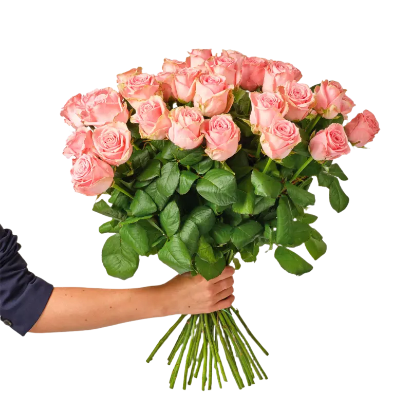 AH Roze rozen x25