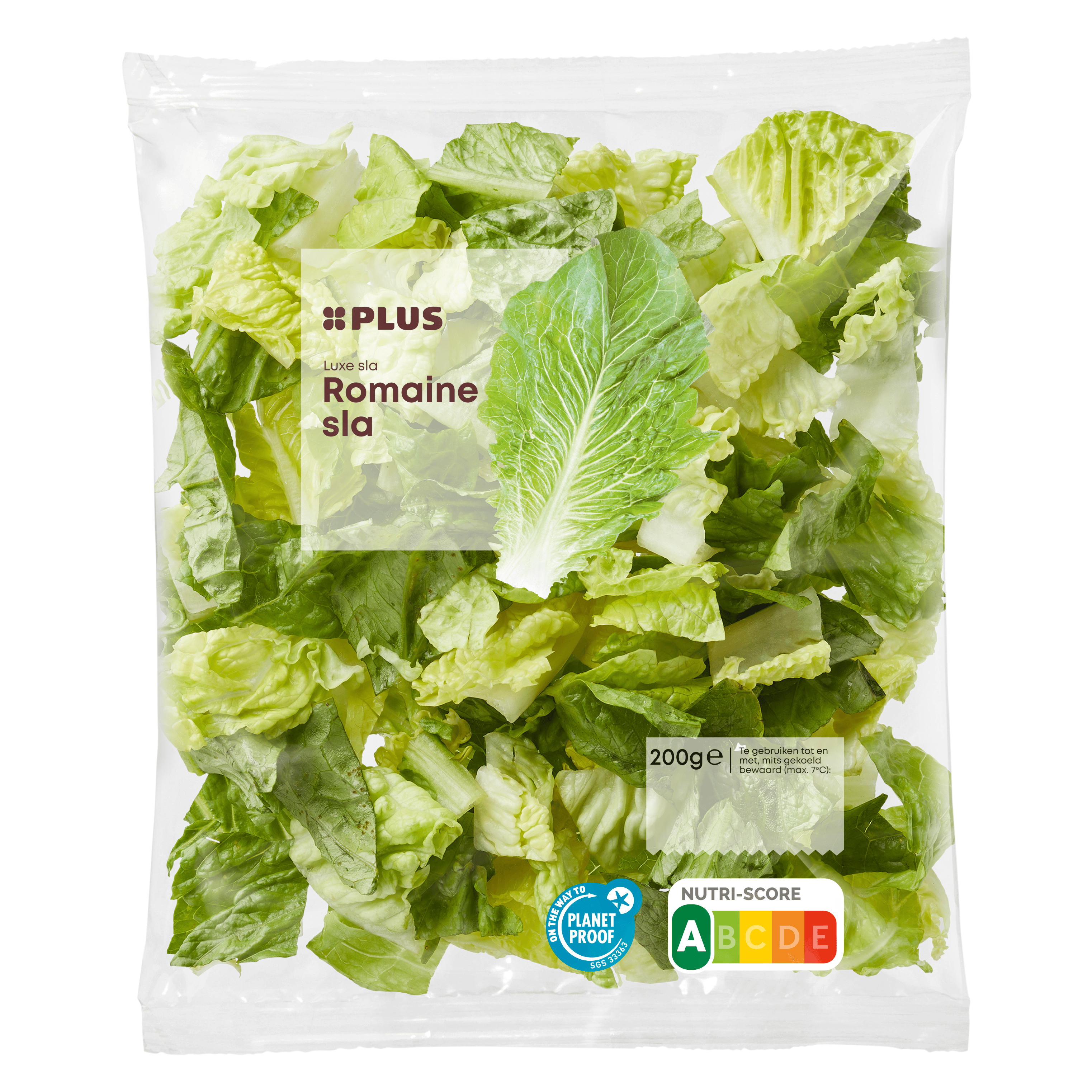 PLUS Luxe sla Romaine