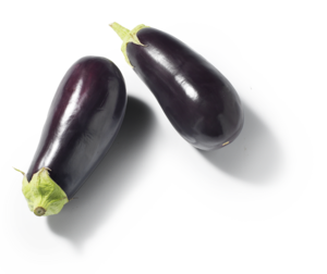 Aubergine