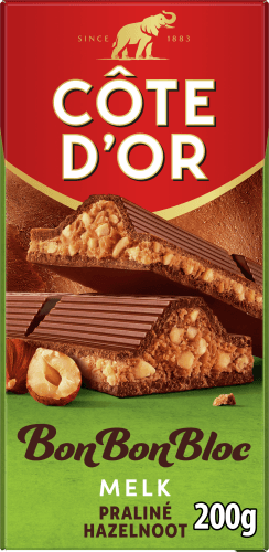 Côte d'Or Bonbonbloc praline melk noten