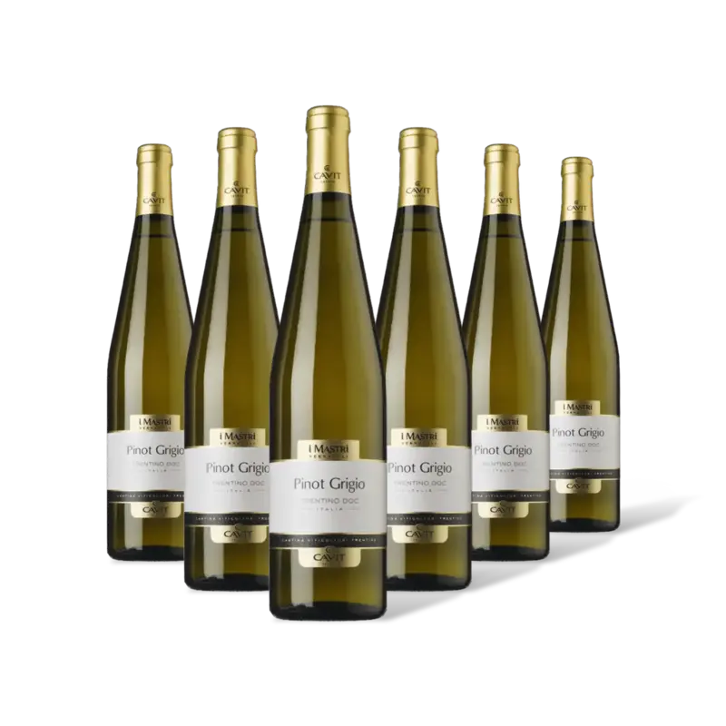 Mastri Vernacoli Pinot Grigio 6 flessen