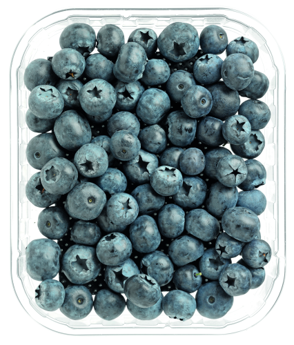 Blauwe Bessen