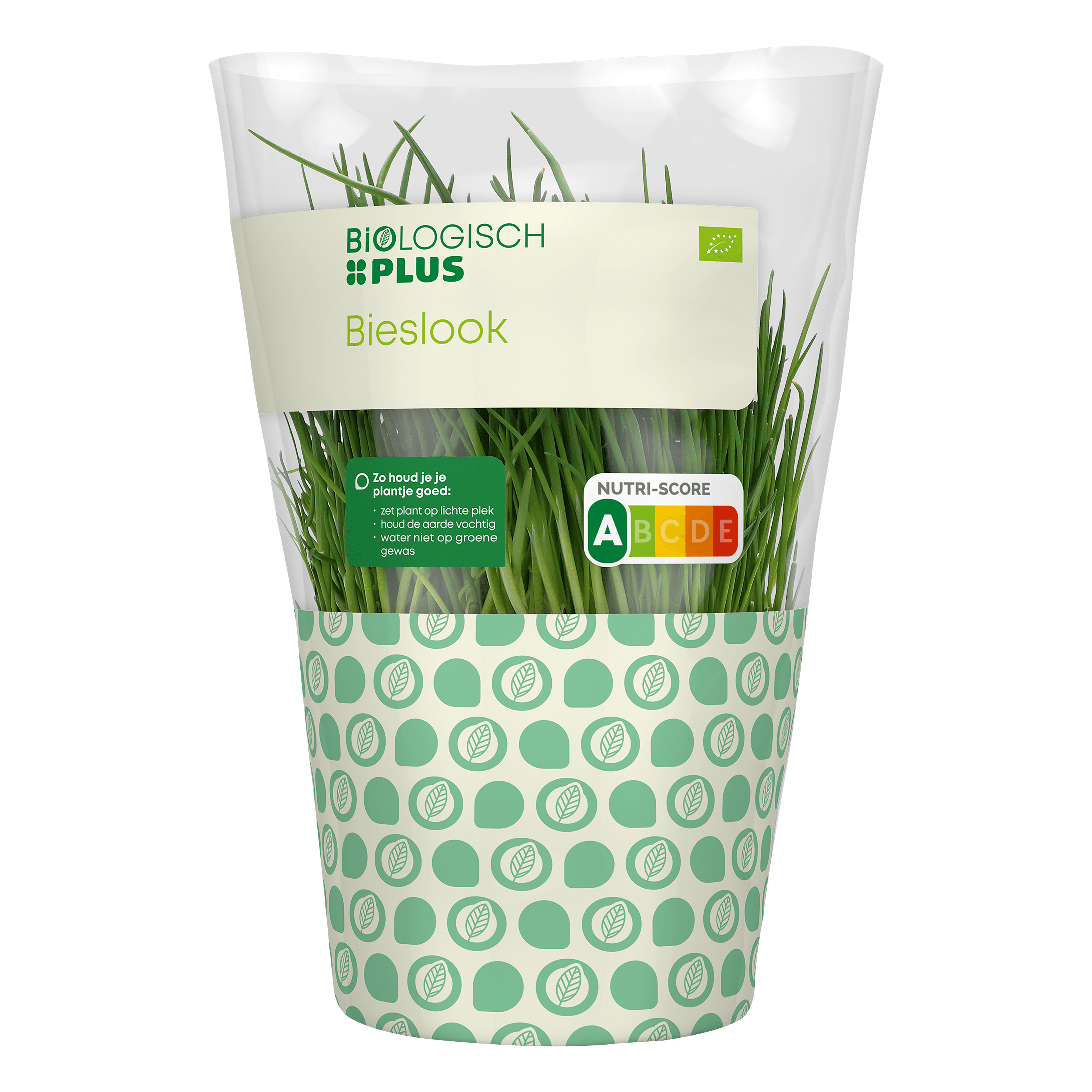 Biologisch PLUS Bieslook