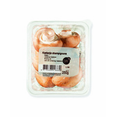 champignons kastanje