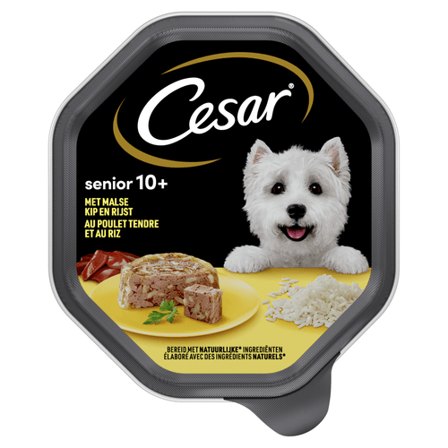 Cesar Hondenvoer senior kip-rijst gelei 10+ jaar