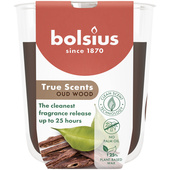 Bolsius Bolsius Geurkaars True Scents Oud Wood Bruin