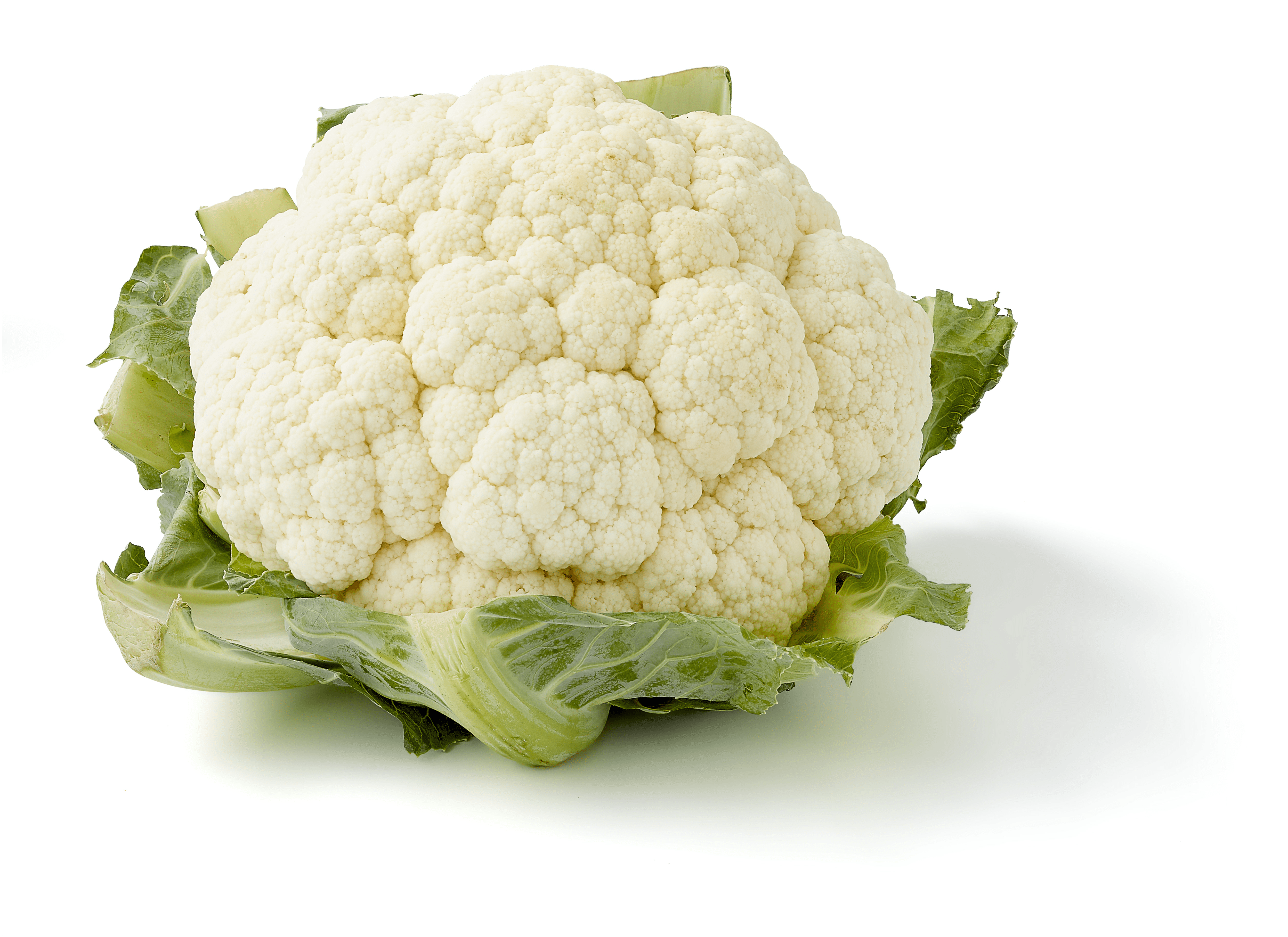 Biologisch PLUS Bloemkool