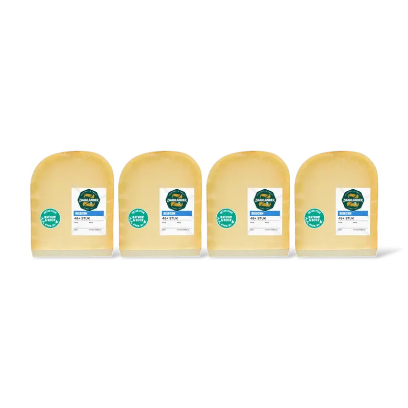 AH Zaanlander Belegen 48+ stuk 4-pack