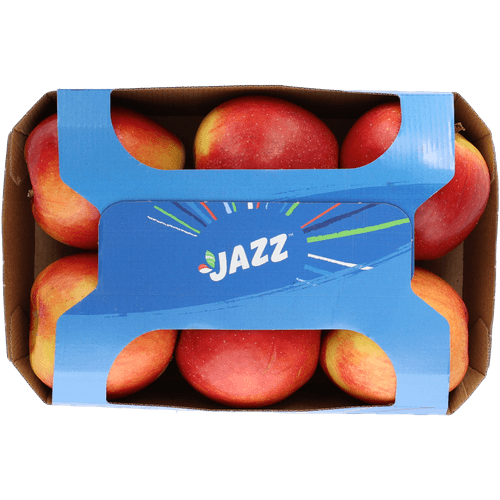 Jazz Jazz