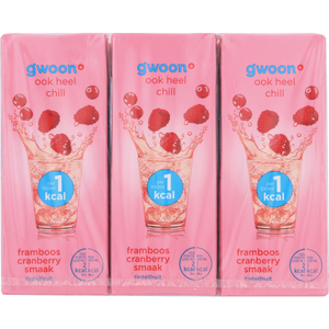 G'woon Tintelfruit Tintelfruit Framboos Cranberry 6x200 Ml