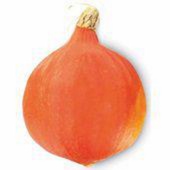 pompoen oranje