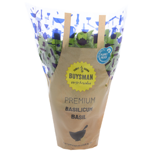 Buysman Basilicum Pot