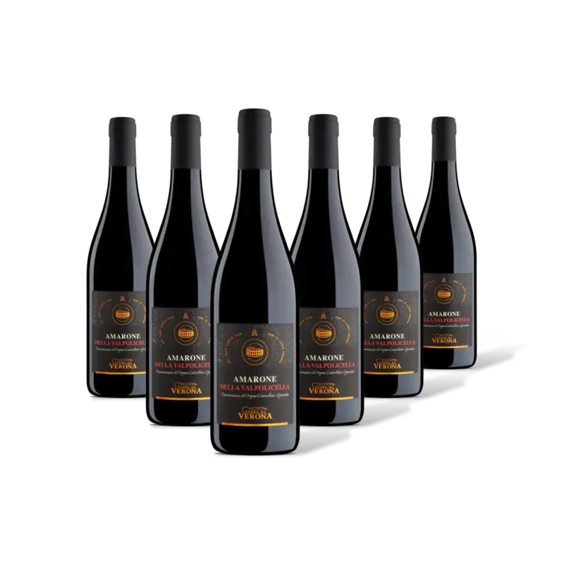 Terre di Verona Terre di Verona Amarone 6 flessen