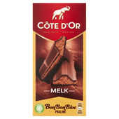 Côte d'Or chocolade bonbonbloc praline melk
