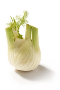Venkel