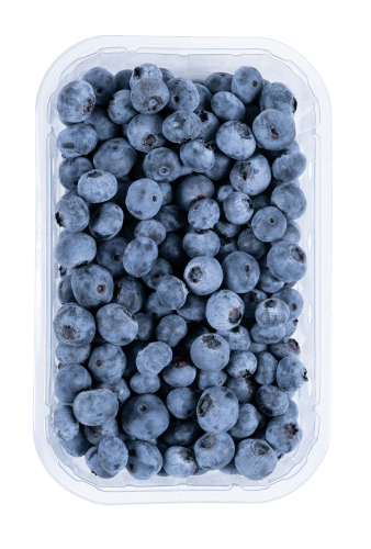 Blauwe bessen schaal
