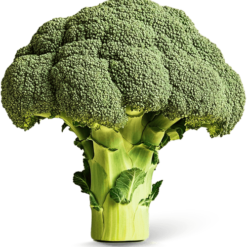 Broccoli