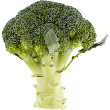 Jumbo Broccoli 500 g