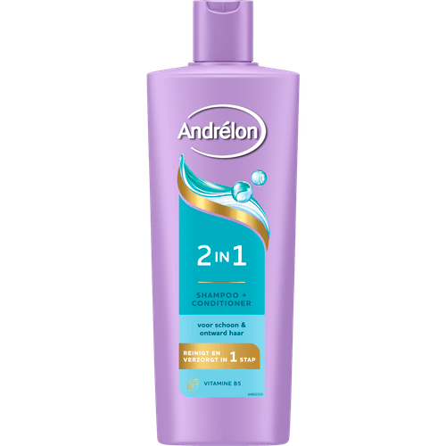 Andrélon Shampoo 2 in 1