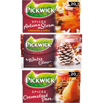 Pickwick Herfst Thee 3 x 20 Stuks