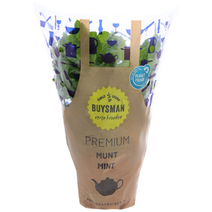 Buysman Munt Pot