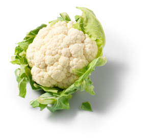 Bloemkool
