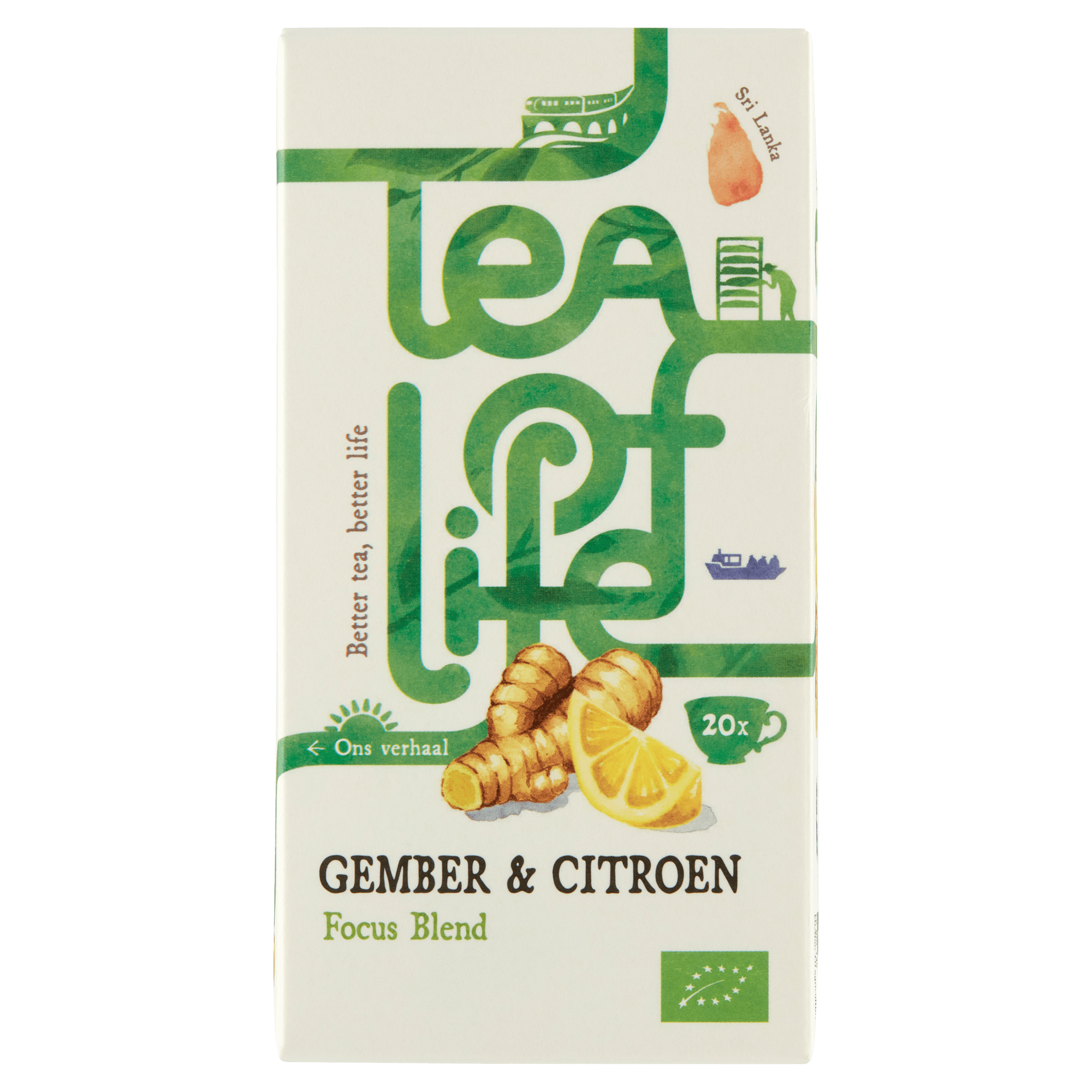 Tea of Life Focus Blend gember citroen