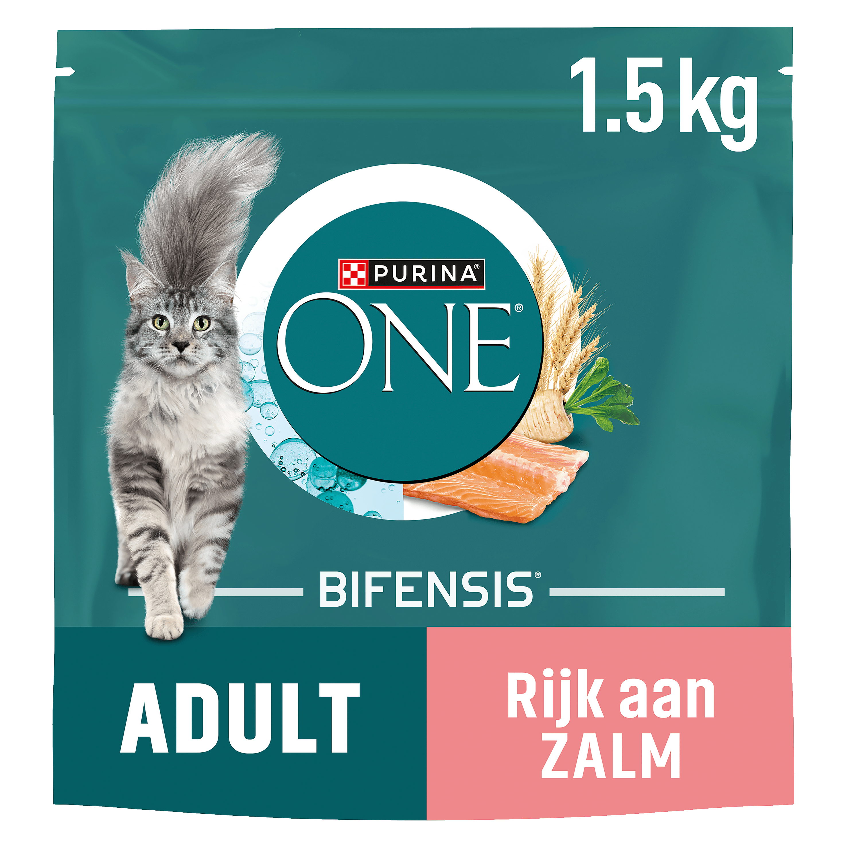 Purina One Adult zalm