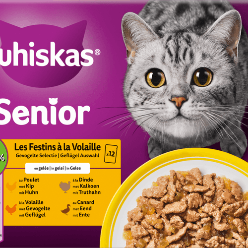 Whiskas Kattenvoer senior 7+ gevogelte in gelei 12st.