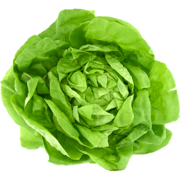 Jumbo Kropsla