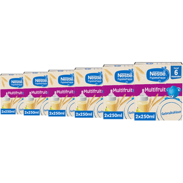 Nestlé PyjamaPapje® Multifruit 6+ maanden 2 x 250 ML