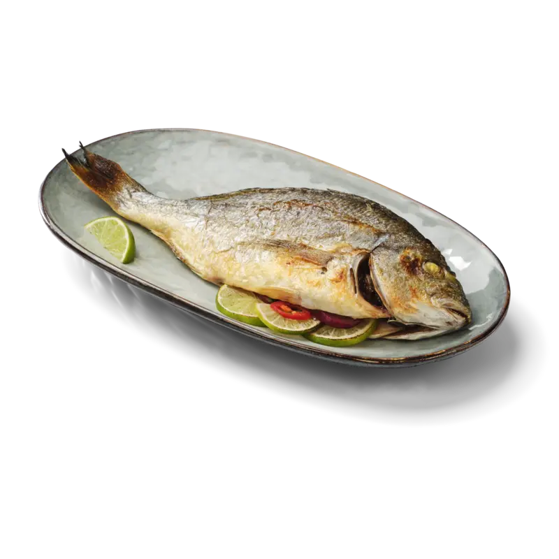 AH Excellent Hele dorade