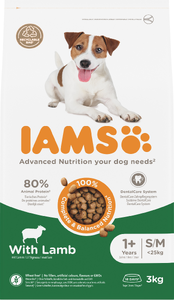 Iams Advanced Hond