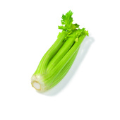 bleekselderij