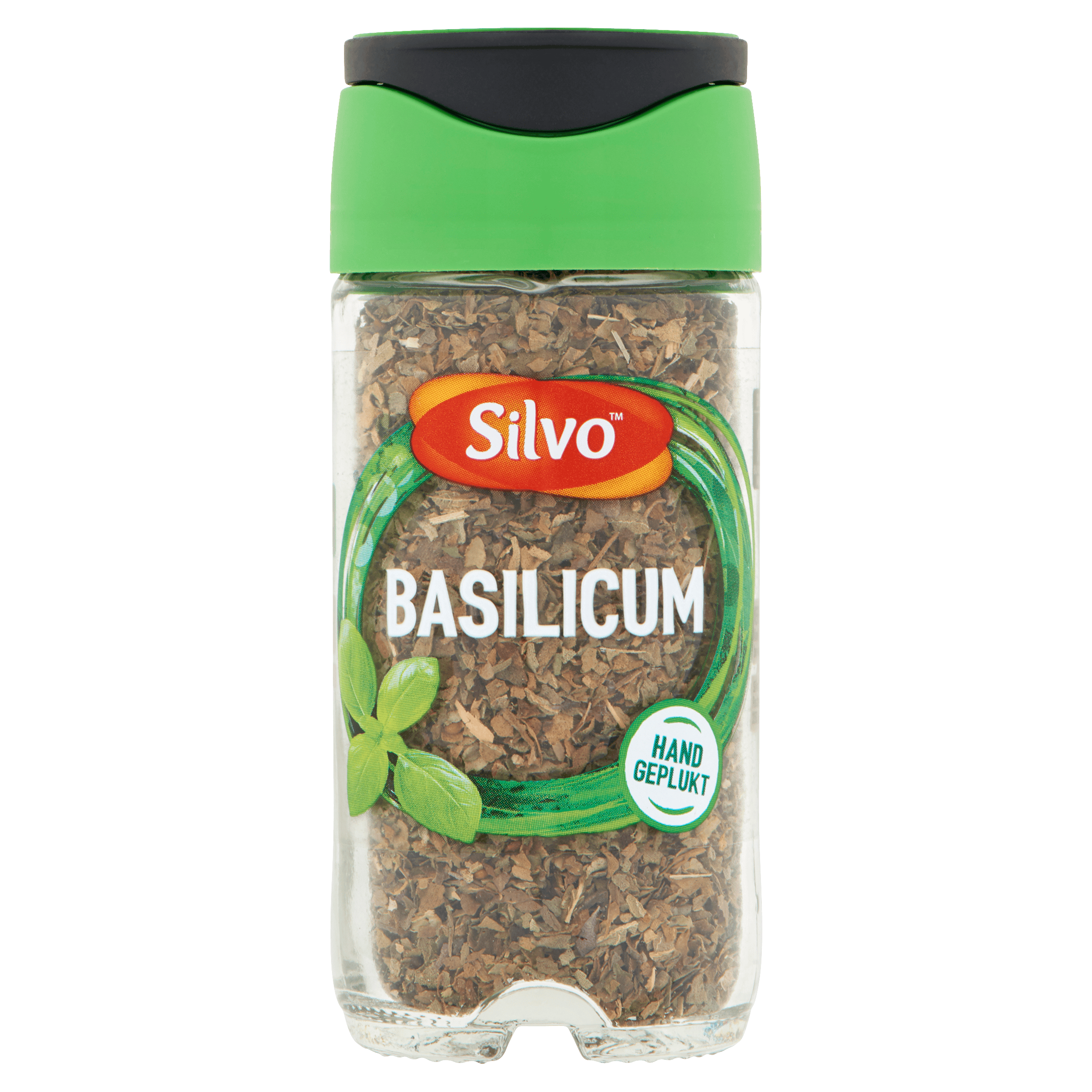 Silvo Basilicum