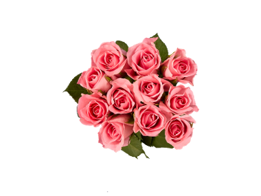 Rozen