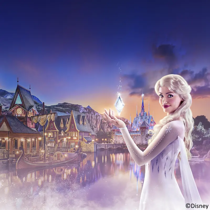 Disney 4 personen categorie c