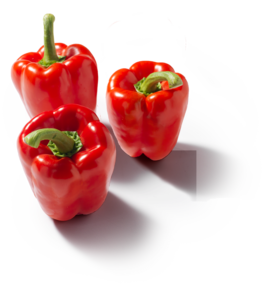 Paprika Rood