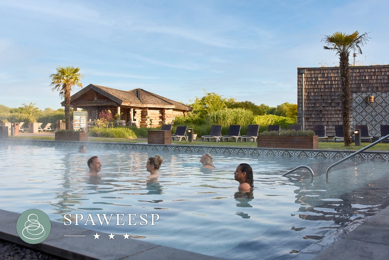 VDS SpaWeesp dagentree