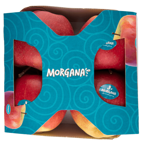 Appelen morgana