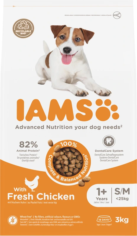 IAMS Adult with fresh chicken 1+ jaar
