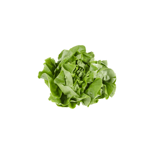 1 de Beste Kropsla