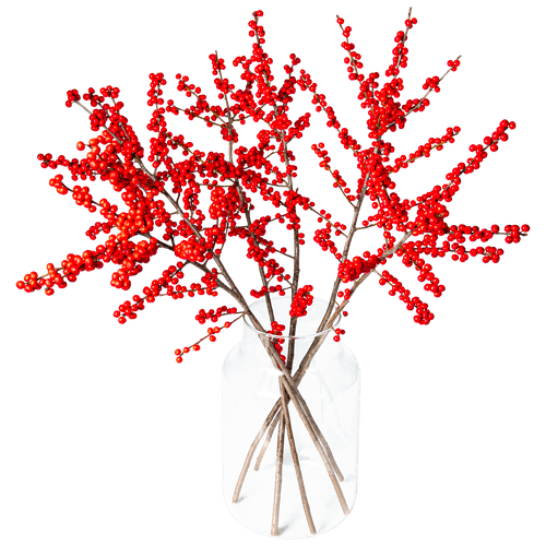 Ilex tak groot
