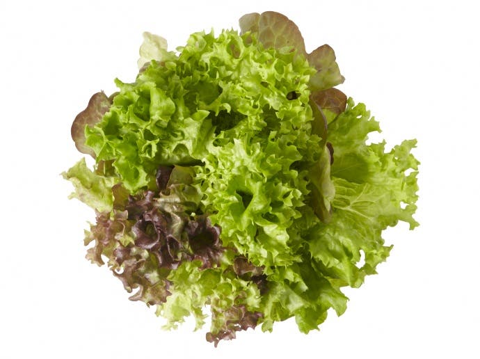 Salatrio